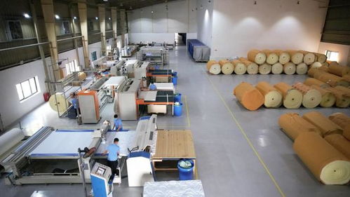 攜手共進(jìn)，共享發(fā)展機(jī)遇——海馬牌及軒琴居越南生產(chǎn)工廠開放日錄音制作紀(jì)實